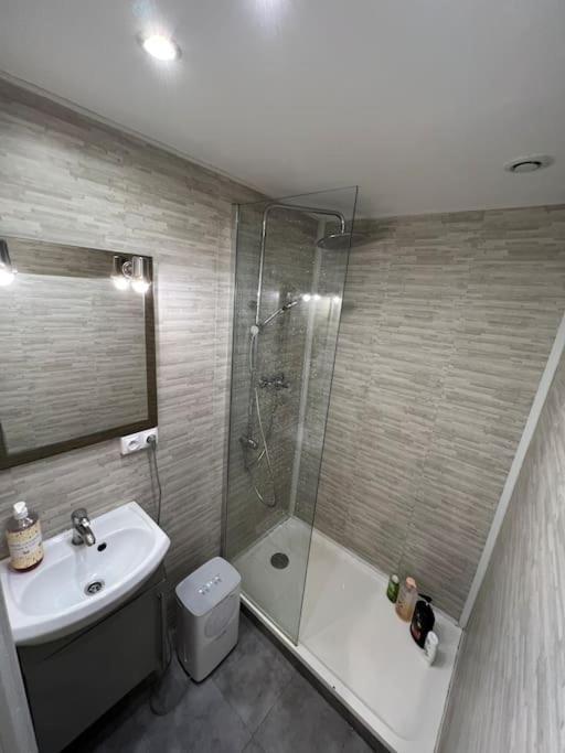 Studio Quartier Prise Des Carmes Тулуза Экстерьер фото